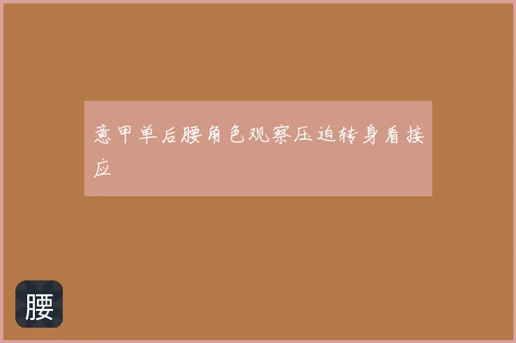 意甲单后腰角色观察压迫转身看接应